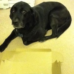 Meet your Posher, Catherine